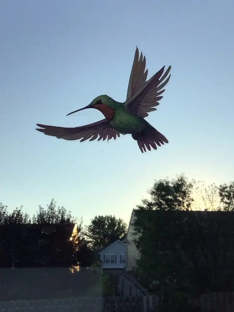 Surprise Live With Shur~rill!