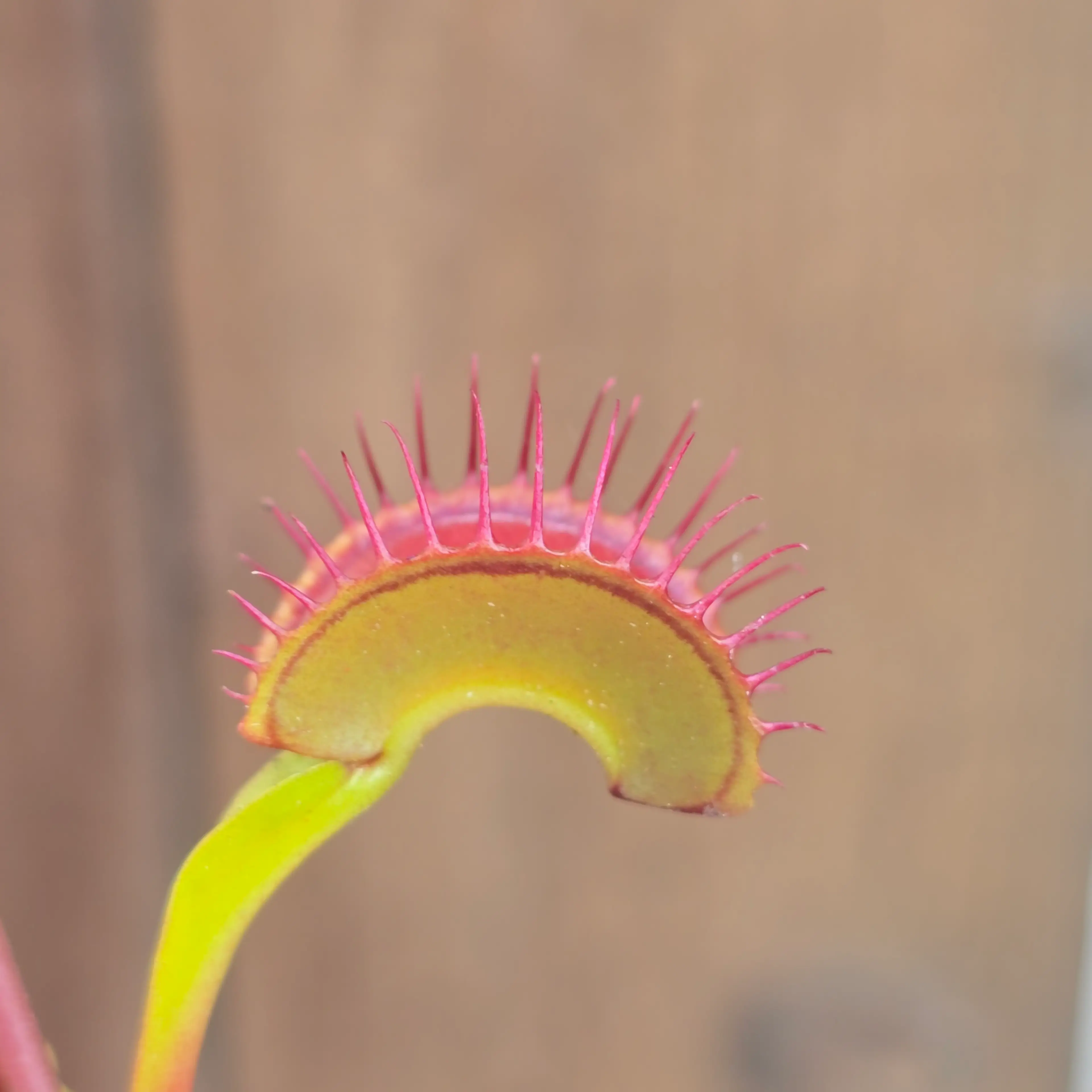 Image 5 of 5