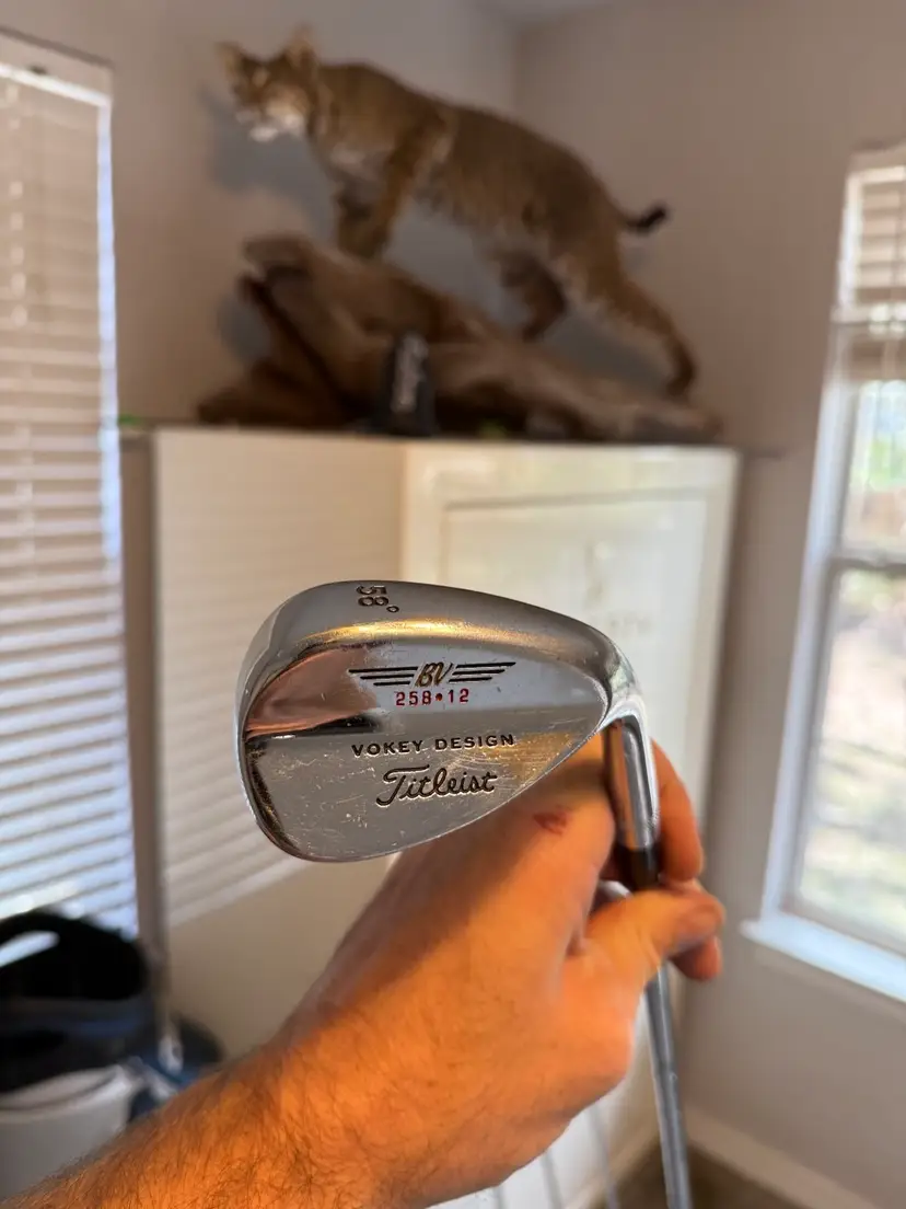 Minty Vokey 258 • 12