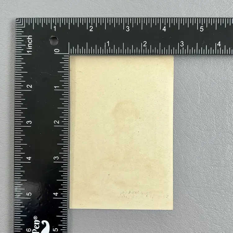 Victorian Trade Card Baby Lily Pad Hartford CT Gemmill Burnham & Co Clothiers