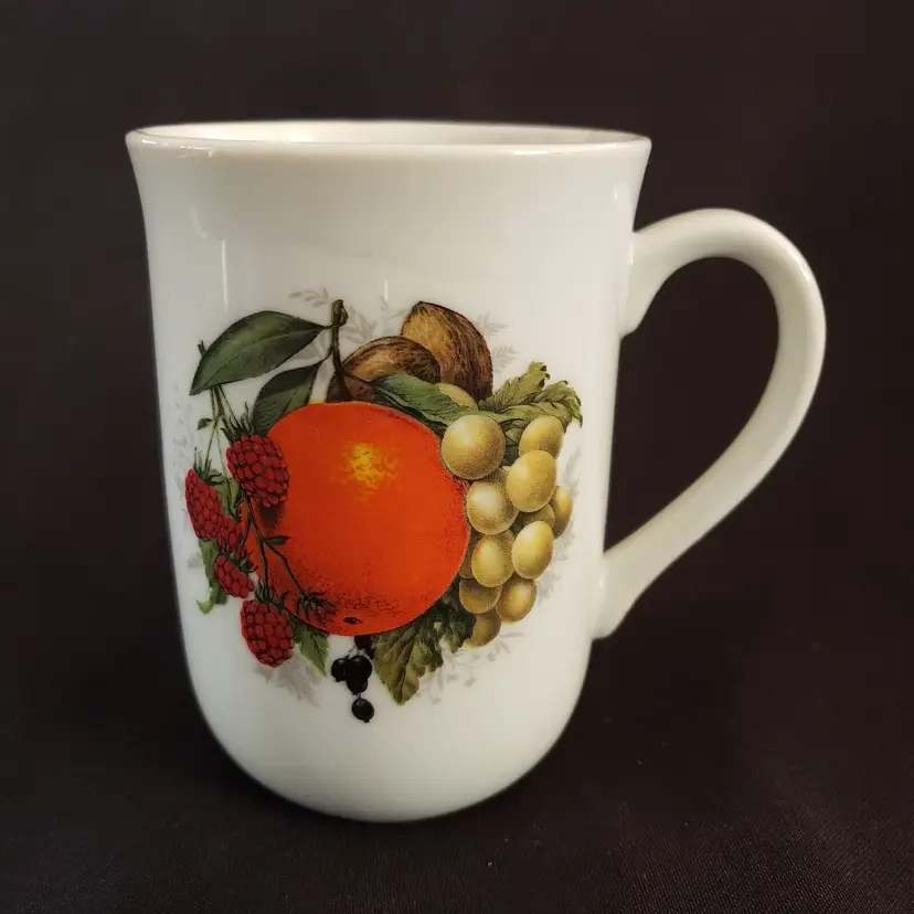 Coffee Mug Orange Citrus Fruit surrounded by other fruits Japan made 4" tall Vintage
