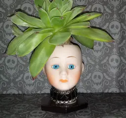 #20 Lita Punk Baby Doll Head Succulent Planter Pot blue eyes