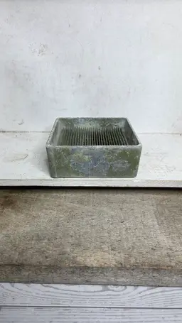 Vintage Flower Frog 🐸 Square