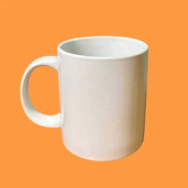 Vintage Novelty Coffee Mug, FLORIDA STATE BIRD Humor