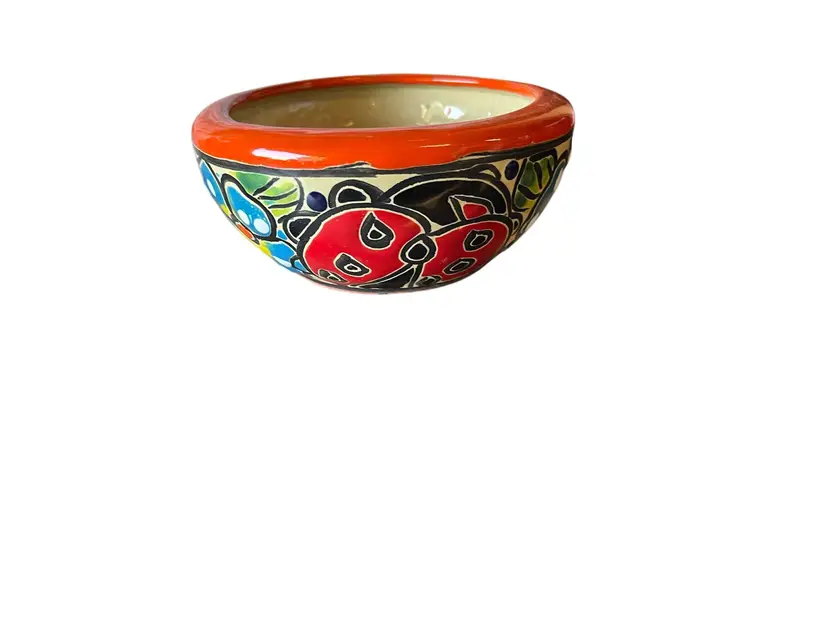 Item #427 Talavera Bowl Pot/ Medium/ Succulent Habitat