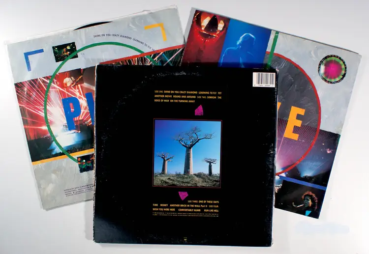 Pink Floyd - Delicate Sound of Thunder (1988) 2-LP Vinyl • Comfortably Numb