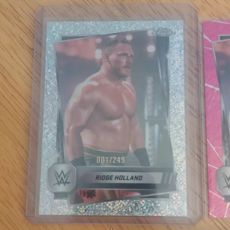 Lot of 23 wrestling cards. Letter H. Ridge Holland #1/249.