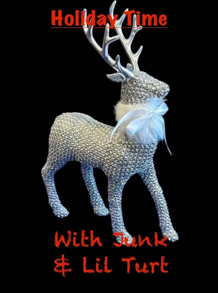 Holiday Show W/ Littlegreenturtles & JunkyardDawg1