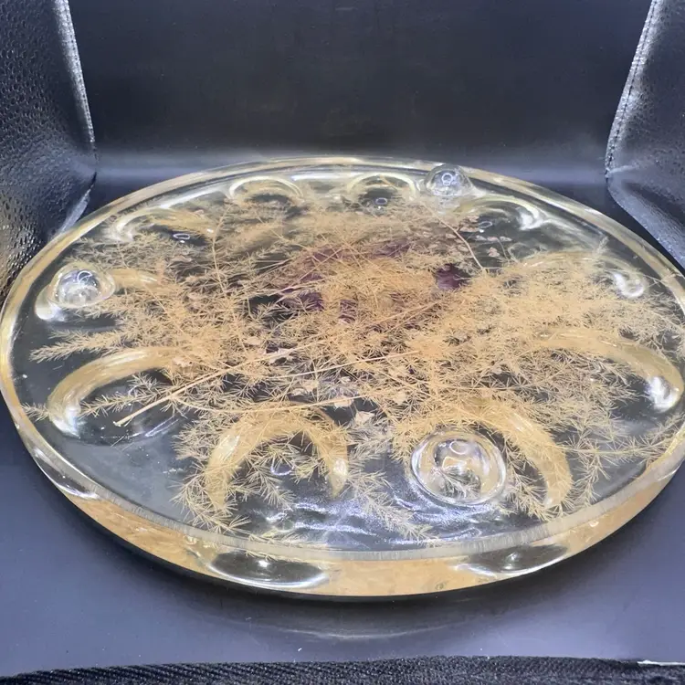 Vintage MCM Lucite Deviled Egg Serving Plate Real Pressed Dried Flower Pansy