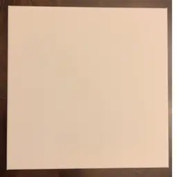 Large Canvas Custom Order 10”x10”