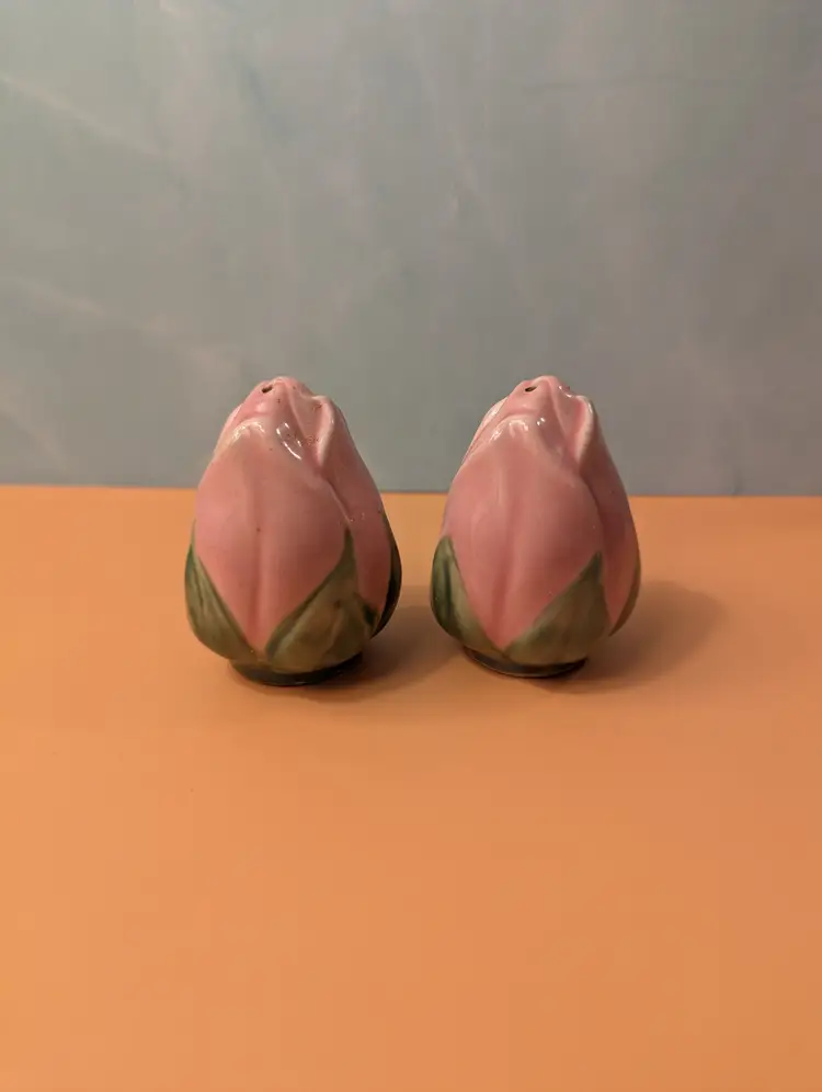 Franciscan Desert Rose Salt & Pepper Shakers