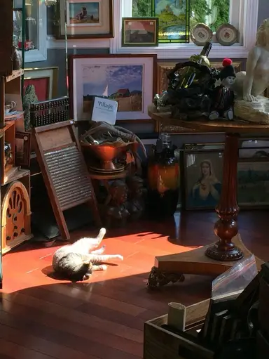 Tuesday Night Unboxing Recent Vintage Finds With Vintiquity