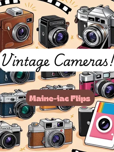 Vintage/Antique Camera Collection
