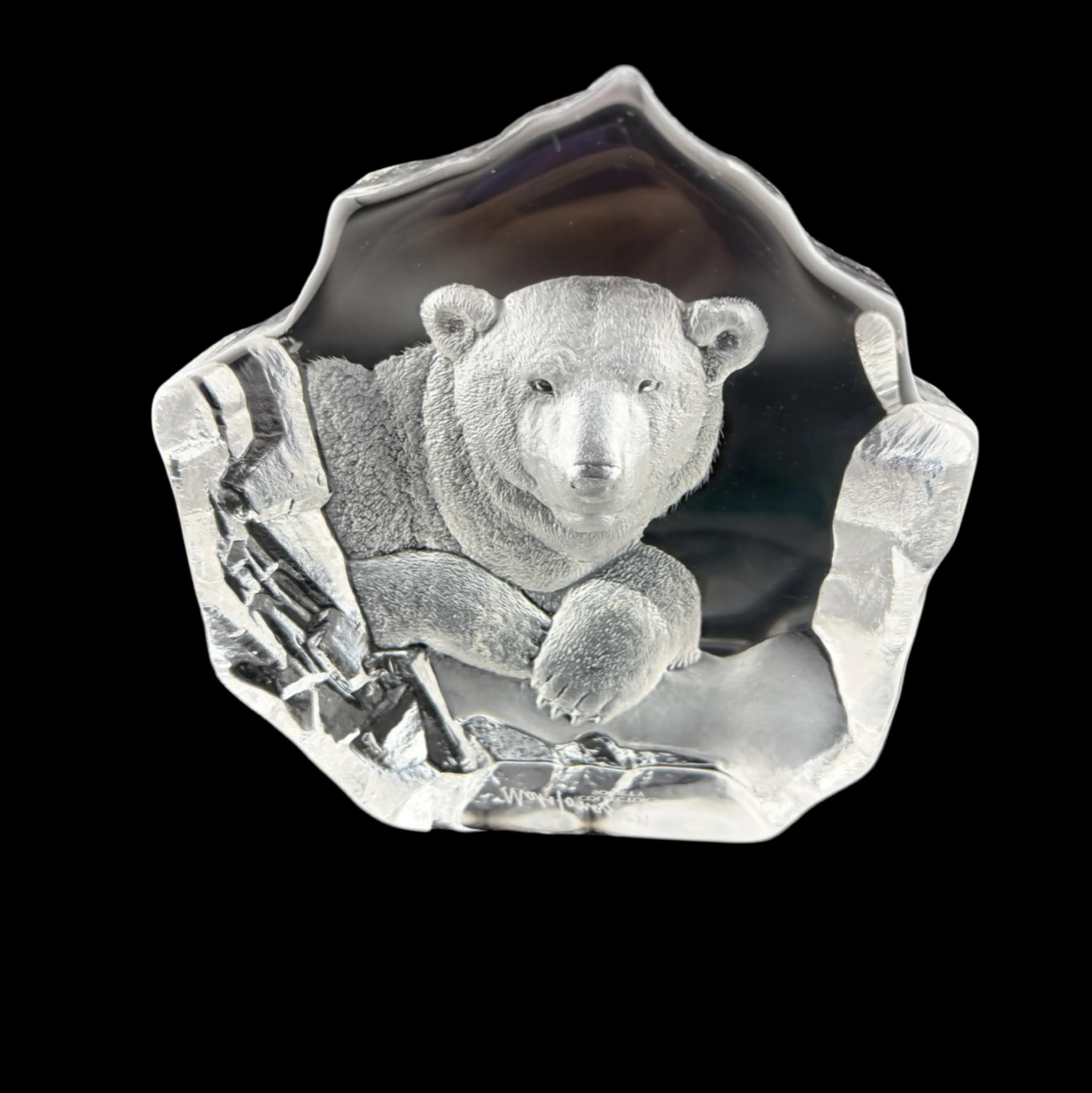 Image 2 of 11