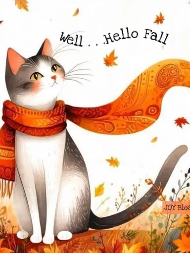 Let’s See What We Can Find? 