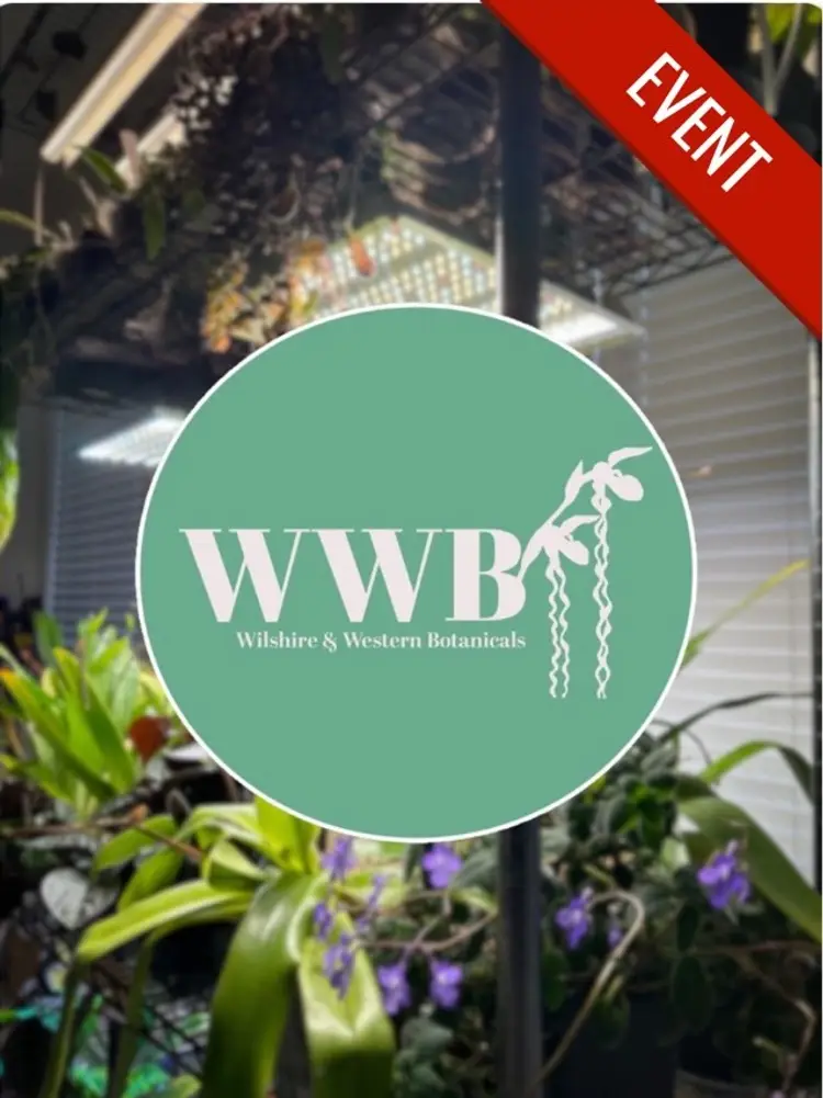 Wilshire & Western: Repotting Orchids, an Introduction
