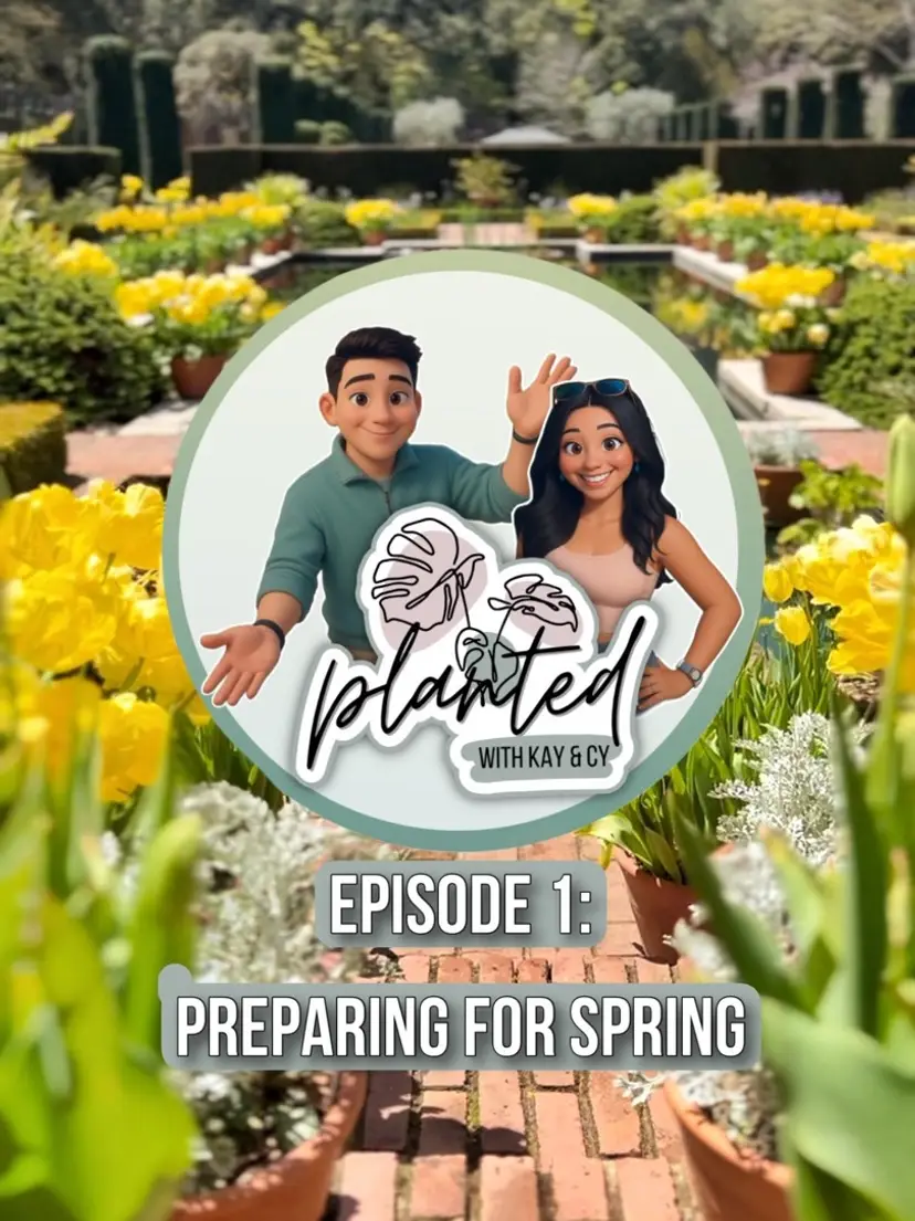 Livestream thumbnail