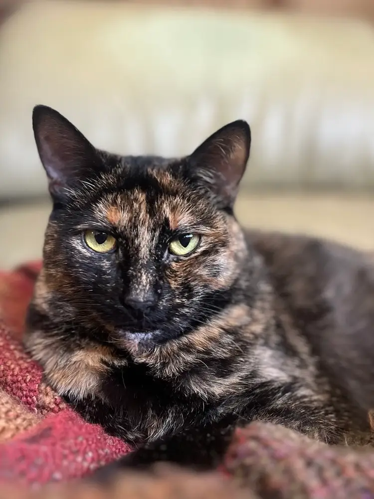 New Finds And Second Chances! 