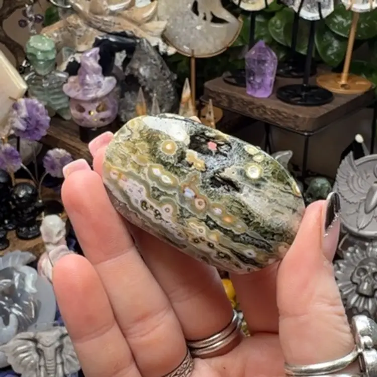 Orbicular Ocean Jasper Palm 18c