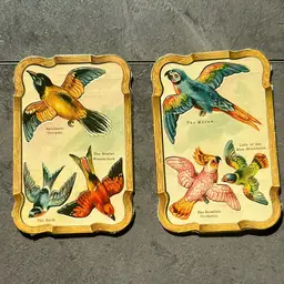 Pair Of Bird Collector Cards For Standard Biscuit Company