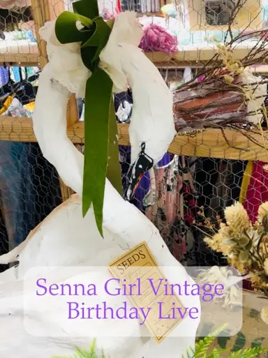 ✨🐦‍⬛VTG Decor, Glass and Good Ol’ Junk🐦‍⬛✨