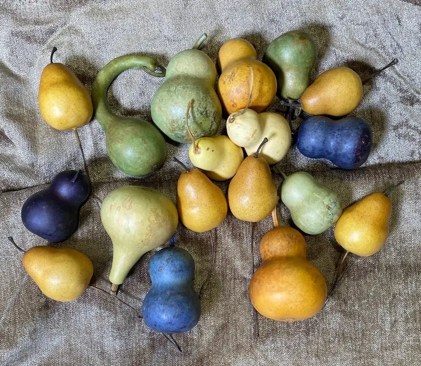 Christmas Holiday Festive Set of 18 Dried Mini Gourds For Wreath, Garland