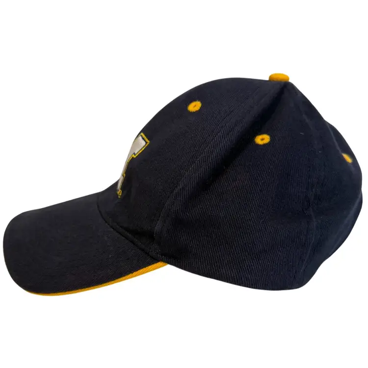 Michigan Wolverines NCAA Adjustable Dad Hat Classic Blue & Yellow by Signatures