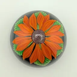 Absolutely Delightful Dollar Start Daisy Orange Orient And Flume Paperweight Cobalt Blue Signed 3 1/4 X 2"