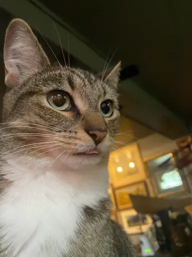 Tuesday Night Live Unboxing At Vintiquity’s!!!