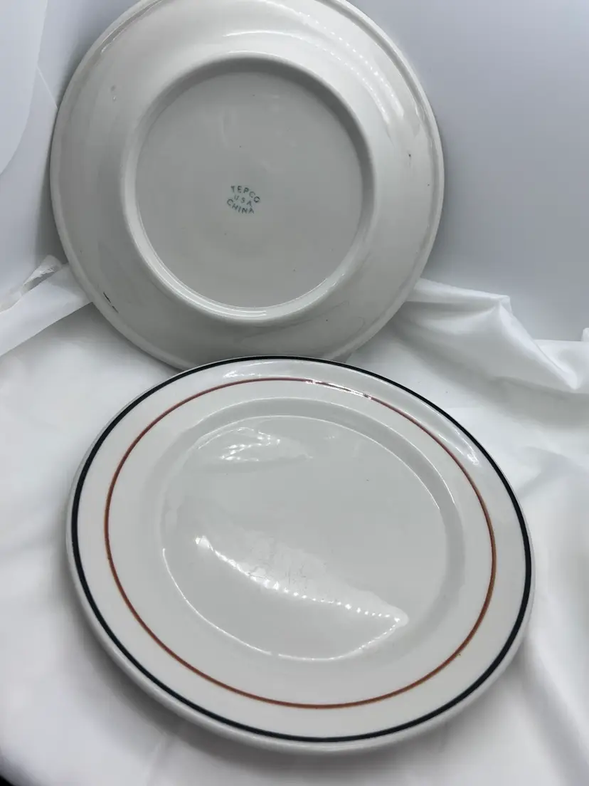 #2067B Set of 2 Vintage Tepco Restaurant Ware Plates