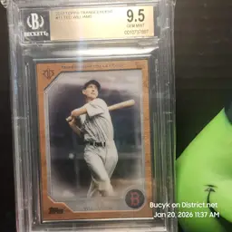 2017 Topps Transcendent - Ted Williams BGS 9.5
