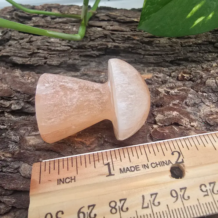 Peach Selenite Mushroom from Morocco ~ Polished Crystal Carvings