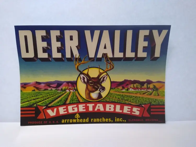 Deer Valley Vegetables Arrowhead Ranches Vintage Crate Label 1950's Original