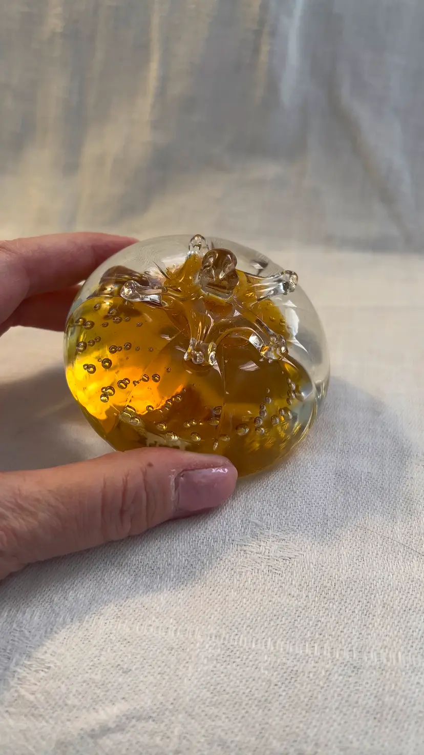 Fig Fruit Paperweight