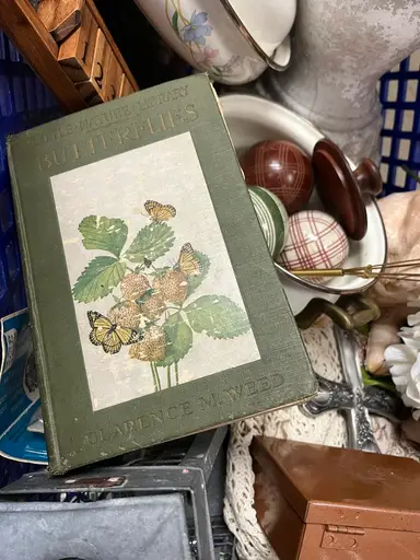 Bins Haul!!! (moving It Back Later)