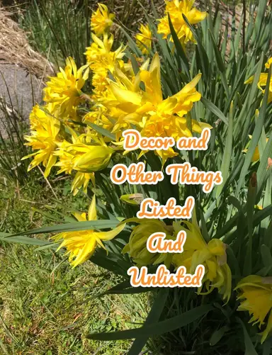 Estate Finds Little Bit Of Everything. 