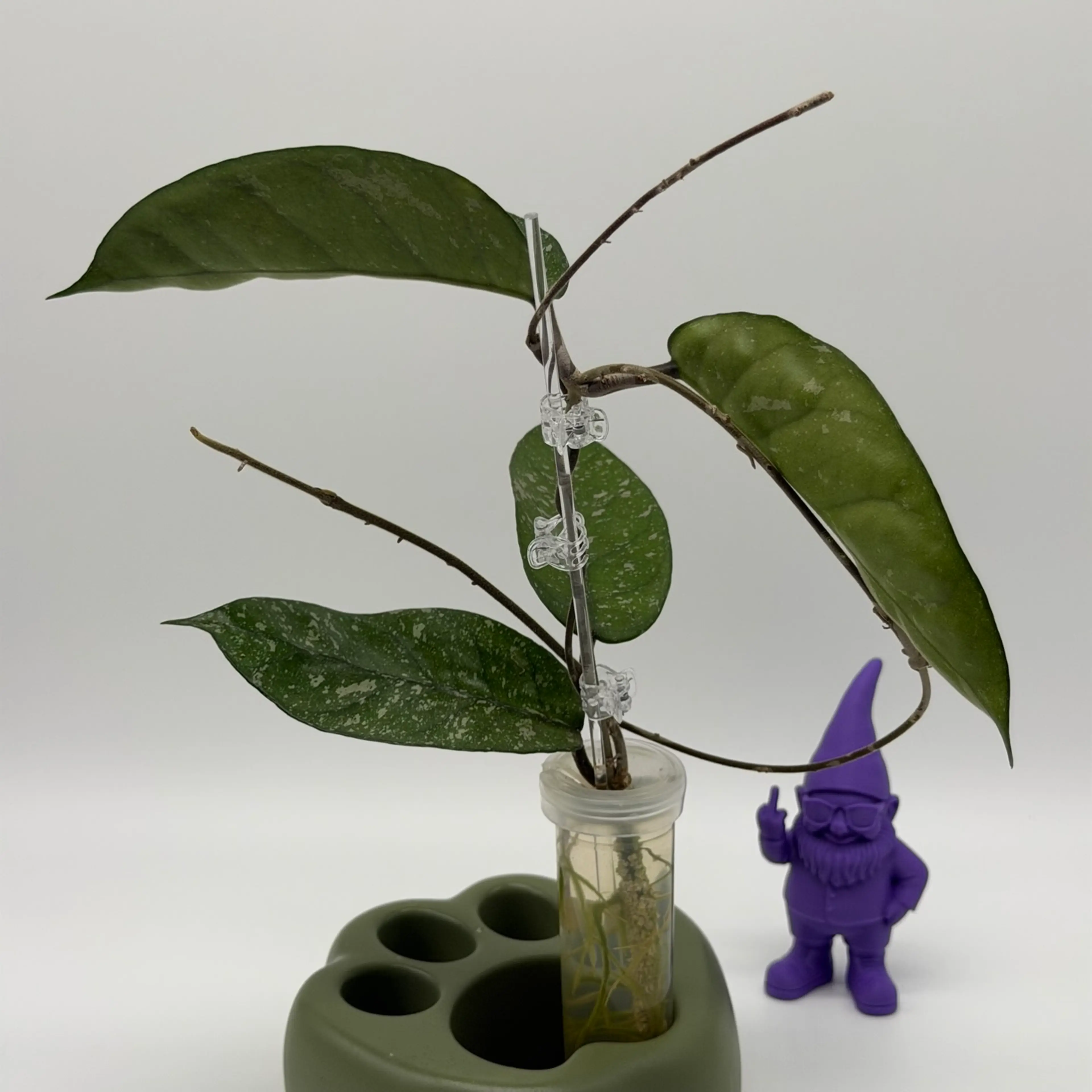 Image 2 of 3