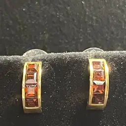 Earrings As Pictured