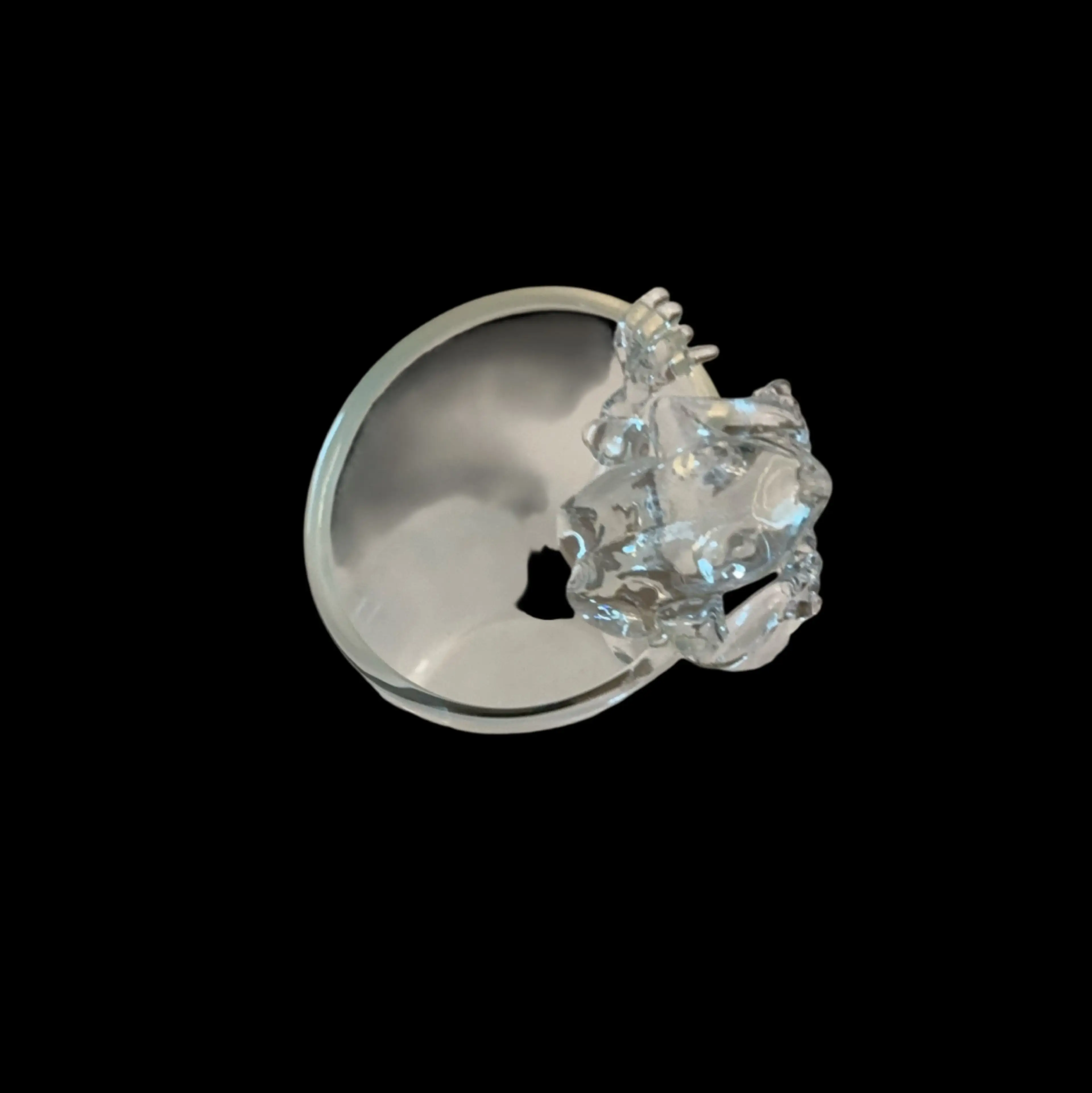 Image 5 of 6