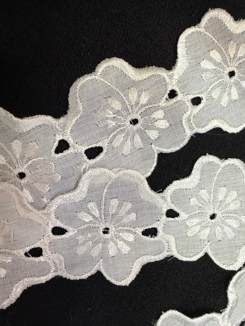 White Eyelet Trim, 2 Yards