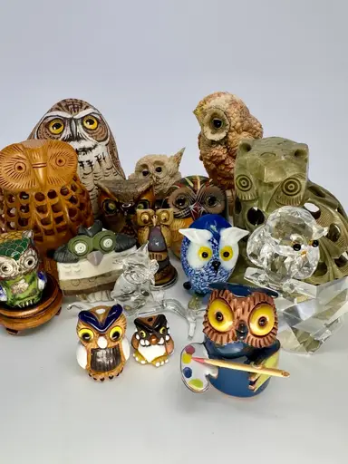 🦉Quick Show-ALL OWLS!🦉🦉🦉 