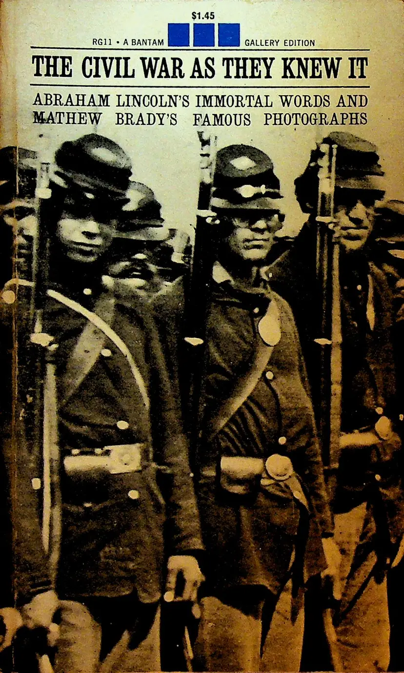 The Civil War As They Knew It Paperback