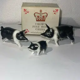 Pigs Bone China Set Of 3 With Box Japan