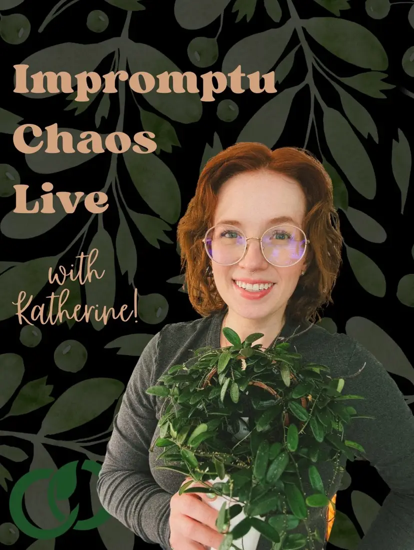 Livestream thumbnail