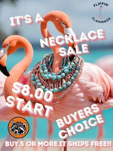 Buy 5 Necklaces Get Free Shipping 