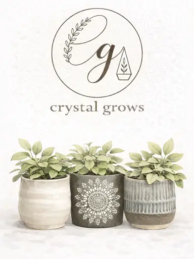 New Pots!