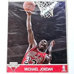 NBA HOOPS Miachael Jordan Vintage Photo Card 1990-91 The GOAT Sealed 8x10 L@@K