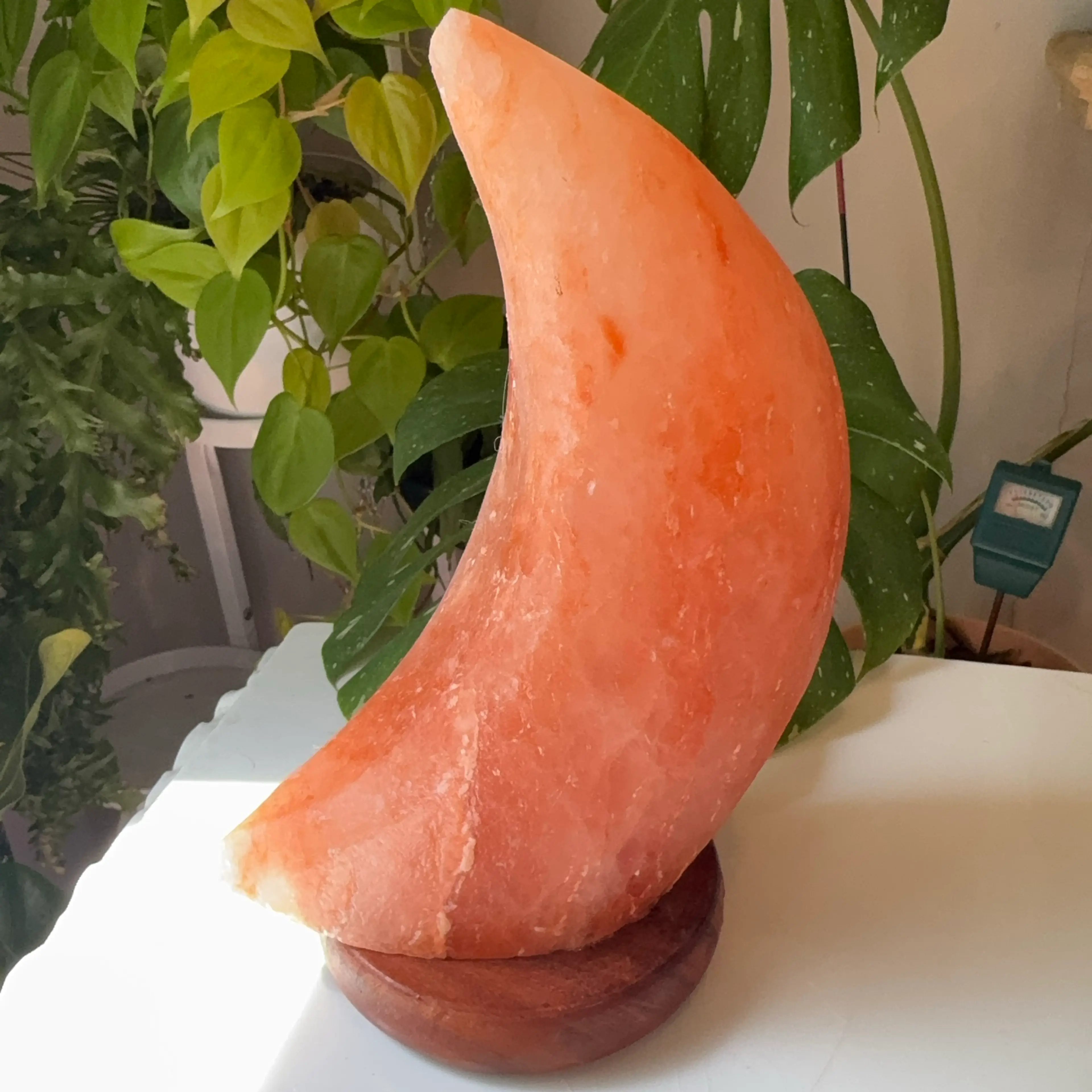 Image 3 of 5