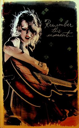 Taylor Swift Journal Unused