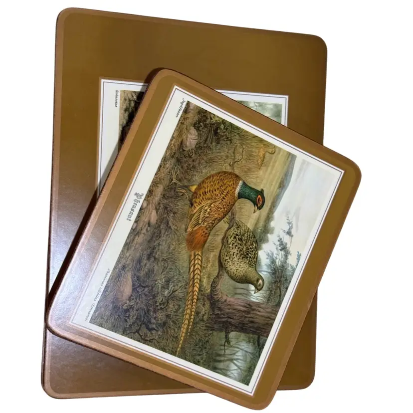 Set of 8 Vintage 1960s Bird Images on Board/cork with Trilingual Labels 2 Large And 6 Small